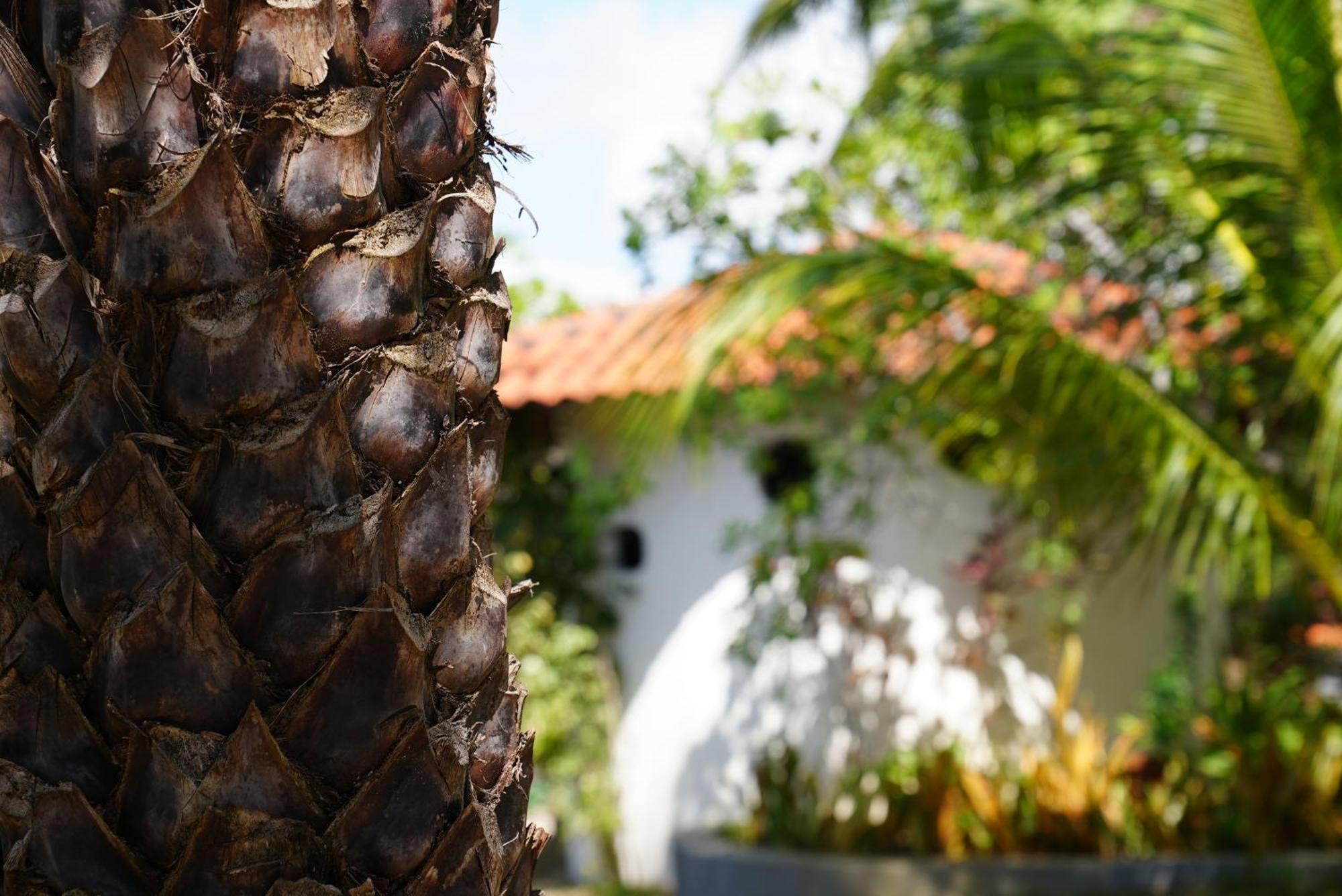Pensjonat La Ferme De Georges Atins Zewnętrze zdjęcie